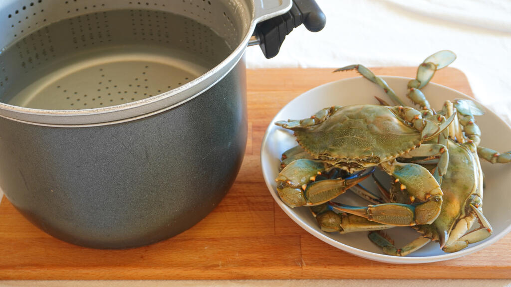 Blue crab calamarata - step 1