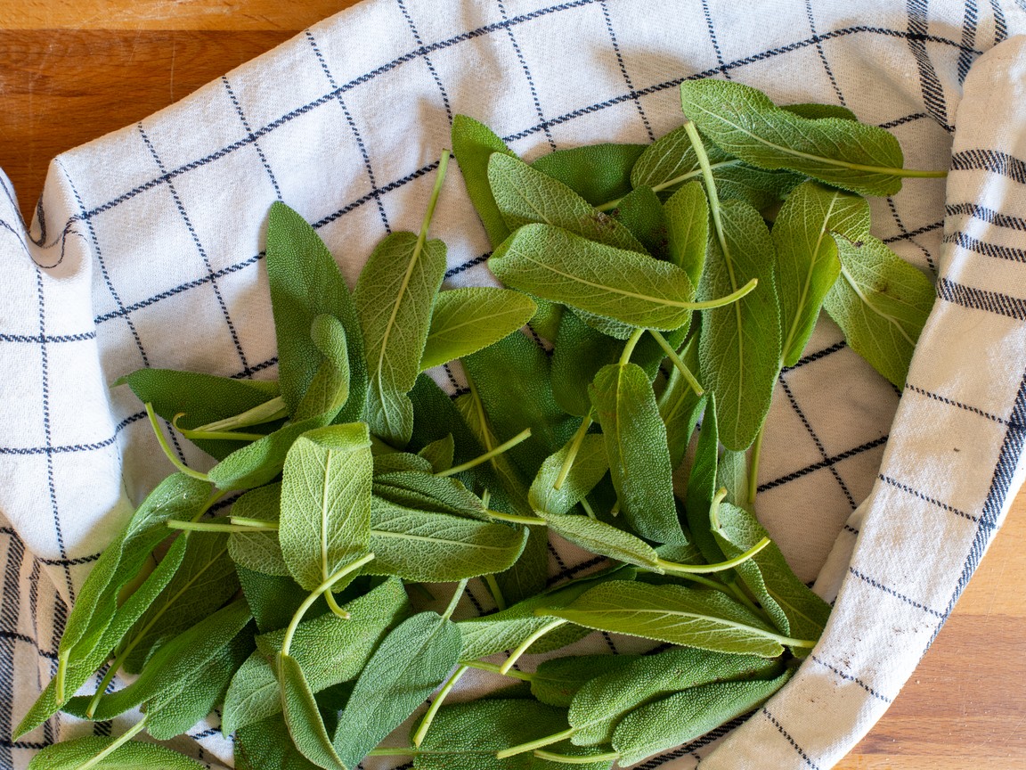 Fried sage - step 1