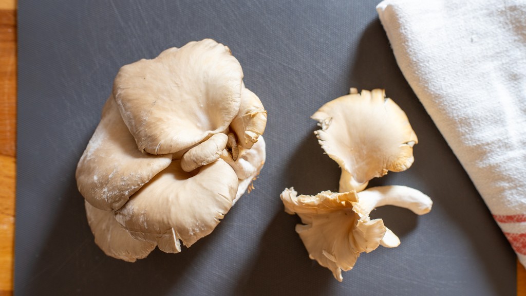 Pasta with Pleurotus Mushrooms - step 1