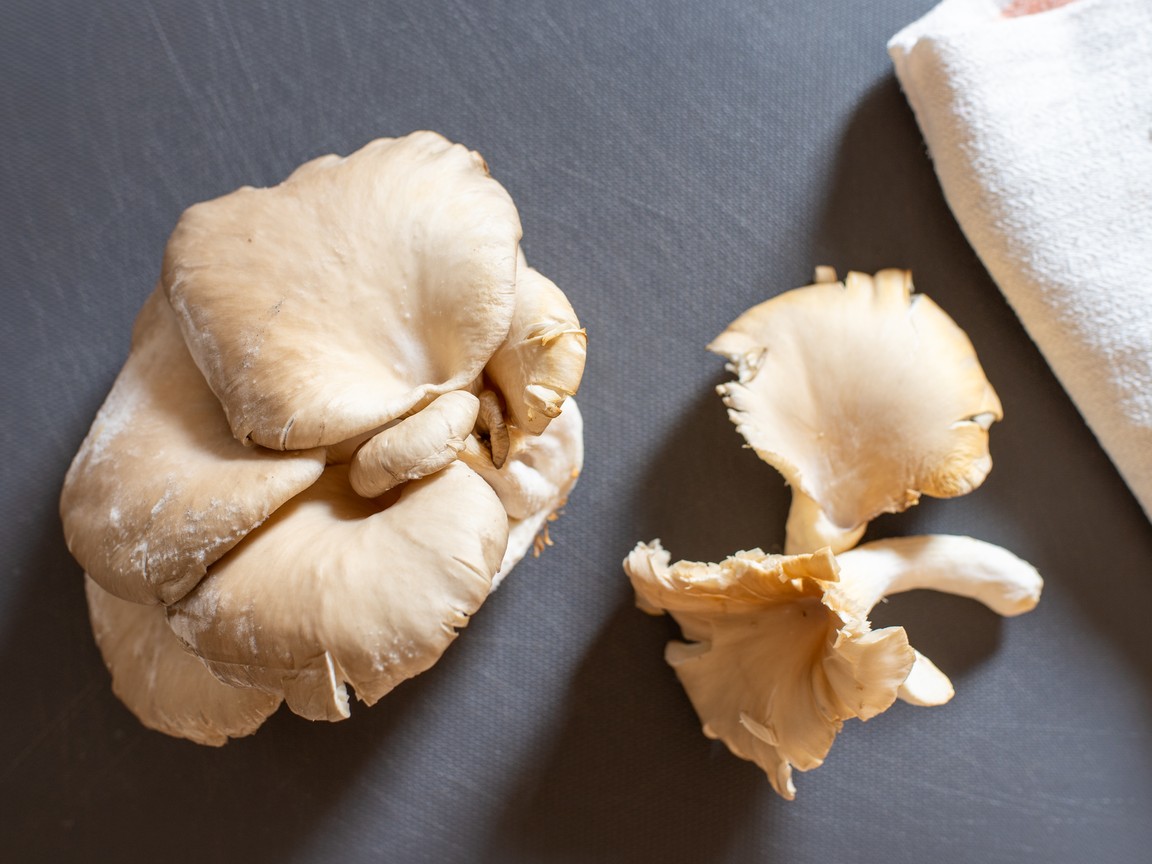 Pasta ai funghi Pleurotus - passo 1